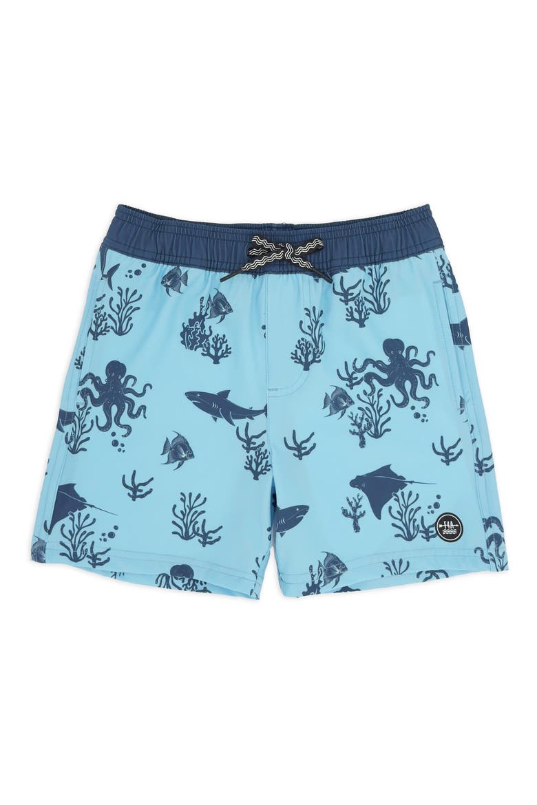 Kids' Aquatic Print Volley Swim Trunks, Main, color, CRYSTAL BLUE