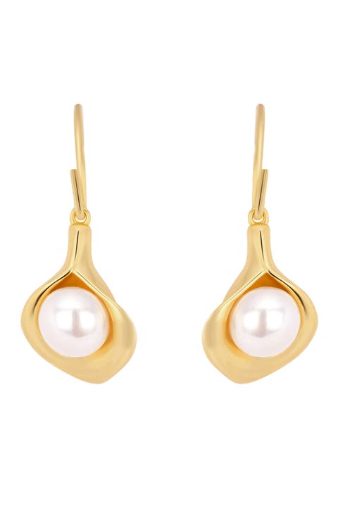 Modern Muse Faux Pearl Drop Earrings