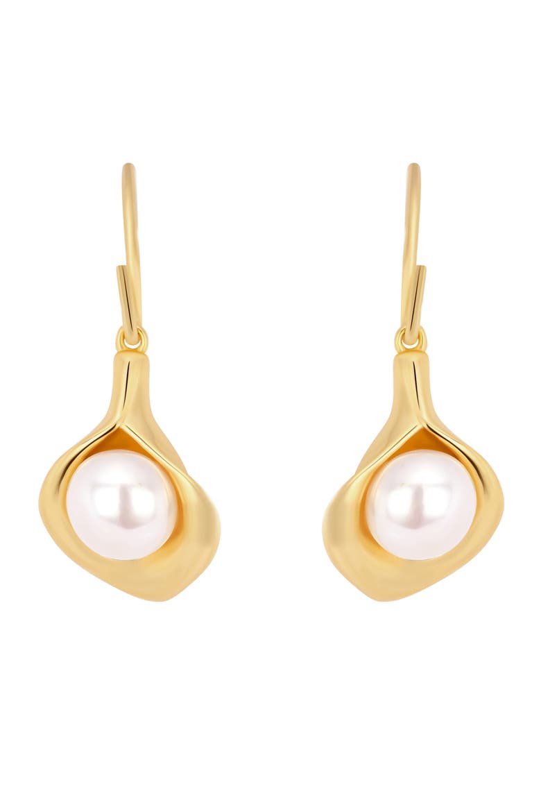 Modern Muse Faux Pearl Drop Earrings video