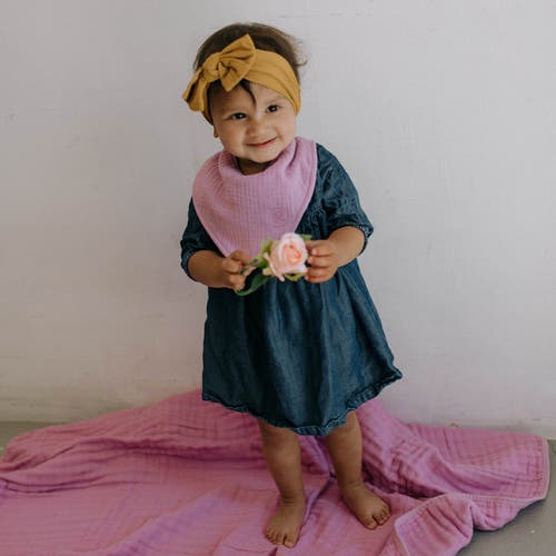 Parker Baby Co. Muslin Bandana Bibs In Rose