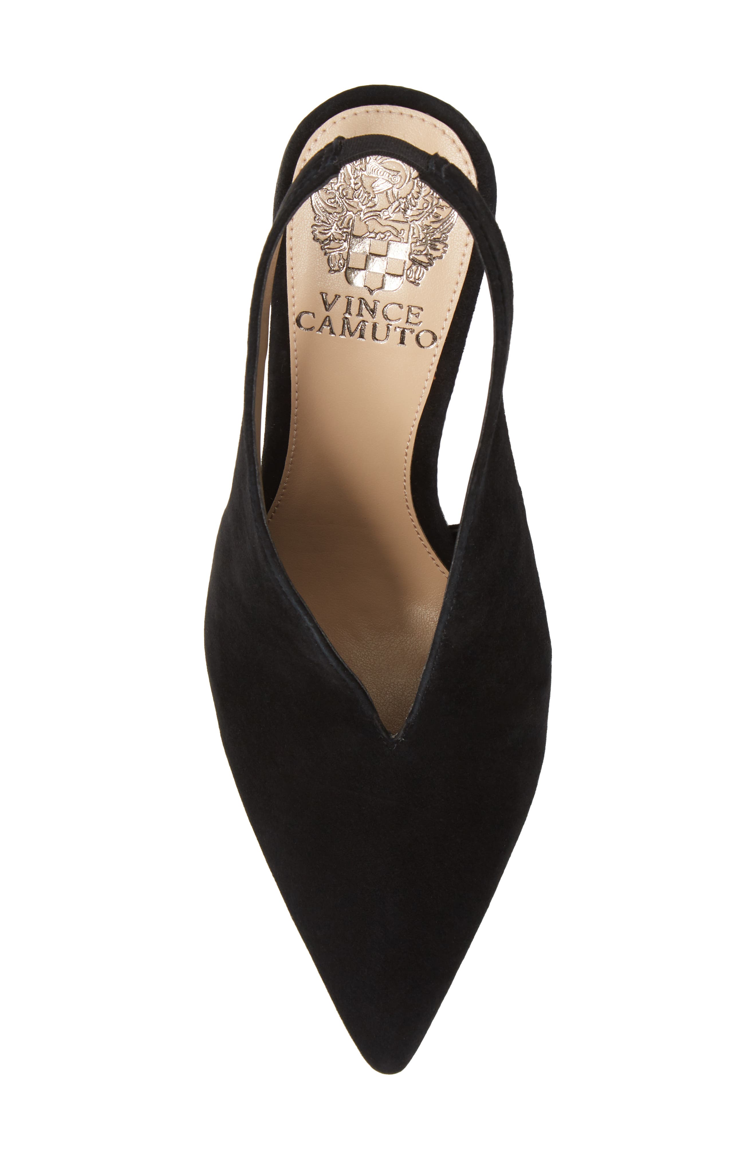 Acasha Pump, Alternate, color, BLACK SUEDE