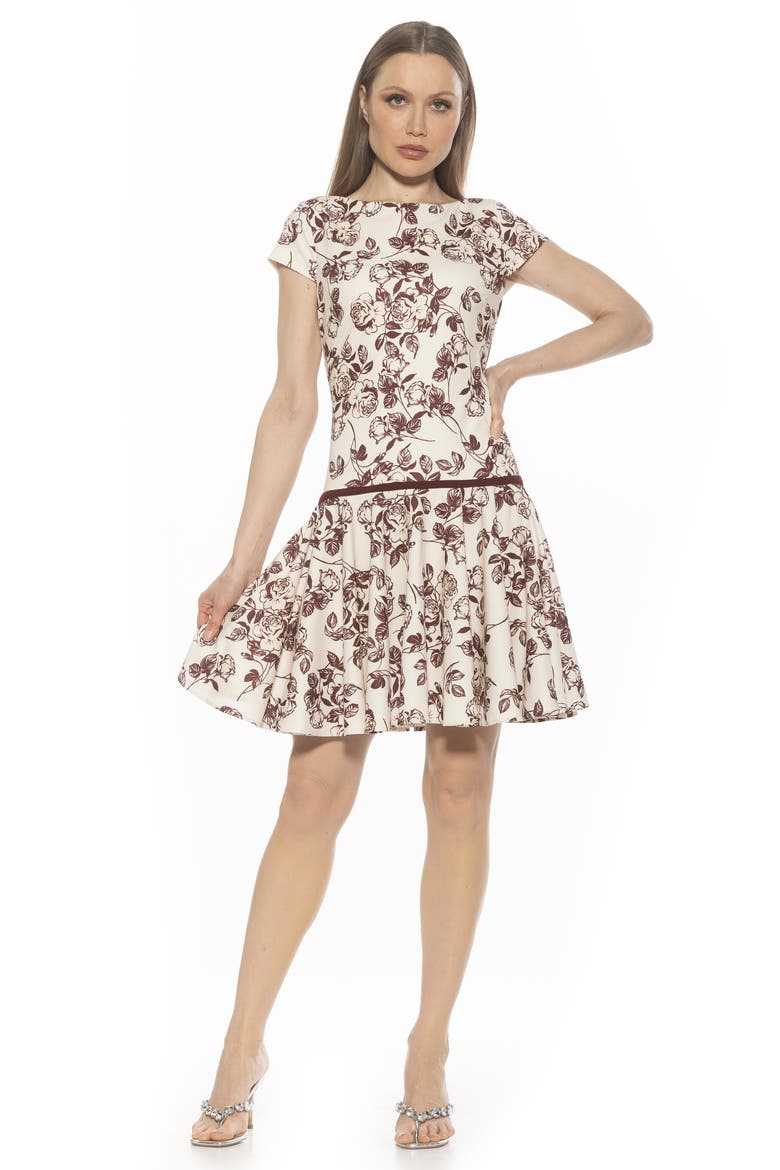 Drop Waist Dress, Alternate, color, BURGUNDY FLORAL