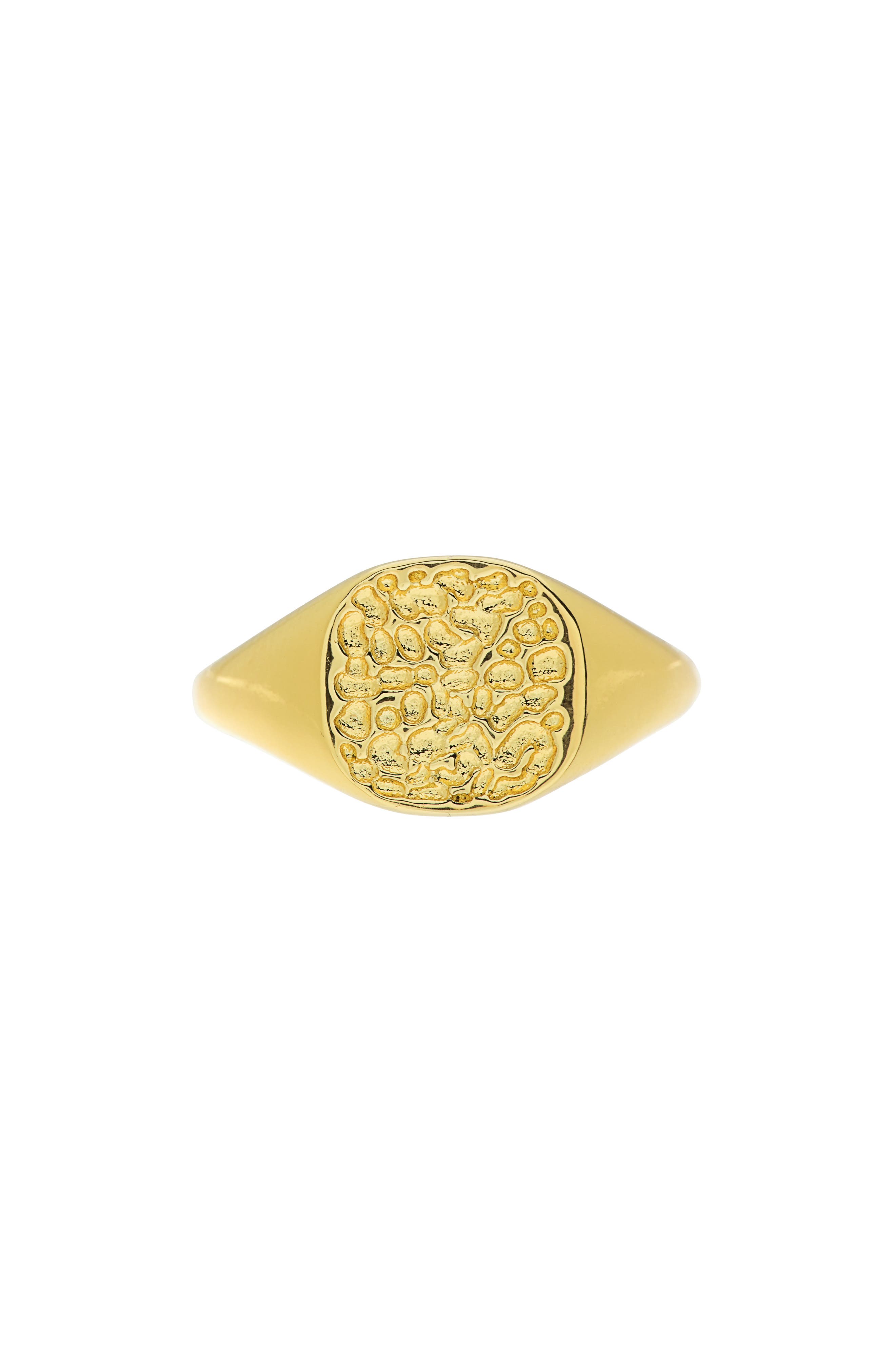 Sterling Forever 14K Gold Plated Hammered Signet Ring