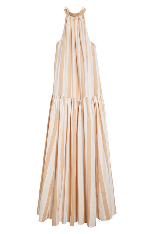 Staud Stripe Cotton Sundress In Sand Stripe