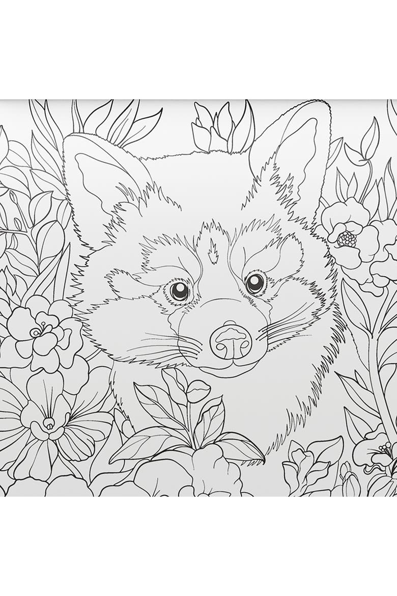 Animals, Creative Coloring Kit, 32 Wildlife & Nature Illustrations, Alternate, color, Multicolored