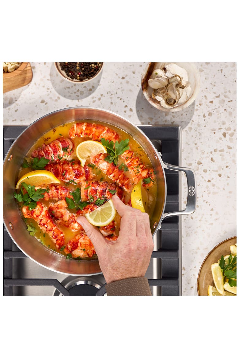 Premier Stainless Steel 6-Qt Stock Pot with Lid, Alternate, color, STAINLESS STEEL