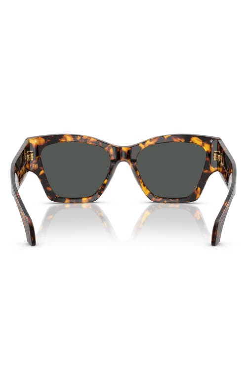 Versace 53mm Square Sunglasses In Brown