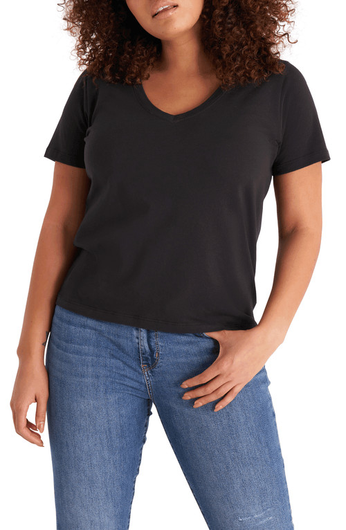 The Standard Stitch The V Neck Tee In Onyx