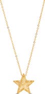 Frankie & Zoe 3D Hollow Star Pendant Necklace
