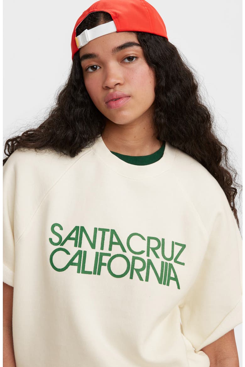 Gold Tab™ Short Sleeve Cotton Blend Fleece Graphic Sweatshirt, Alternate, color, SANTA CRUZ EGRET
