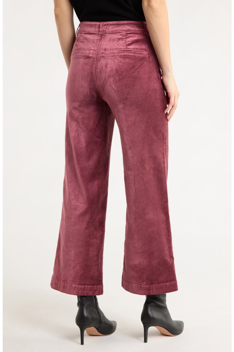 Anessa High Waist Ankle Wide Leg Velvet Pants, Alternate, color, ROSETEA