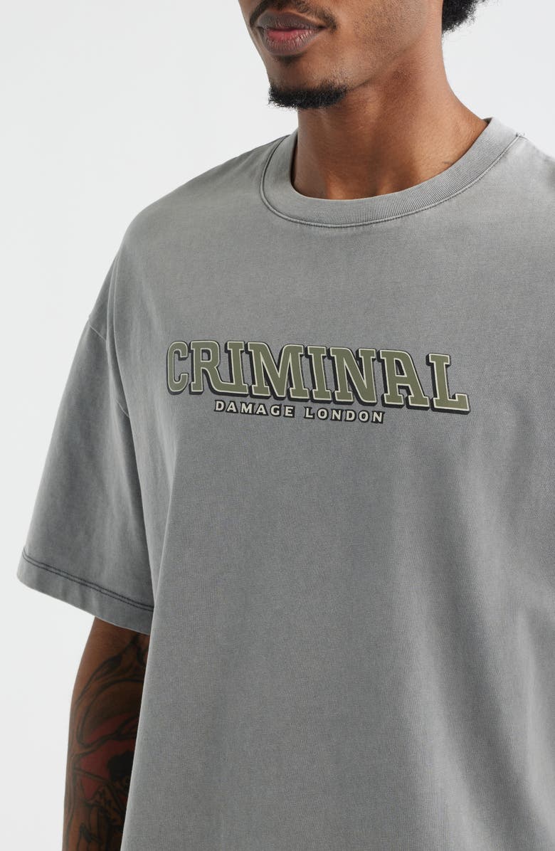 CRIMINAL DAMAGE Statute Graphic T-Shirt, Alternate, color, Grey