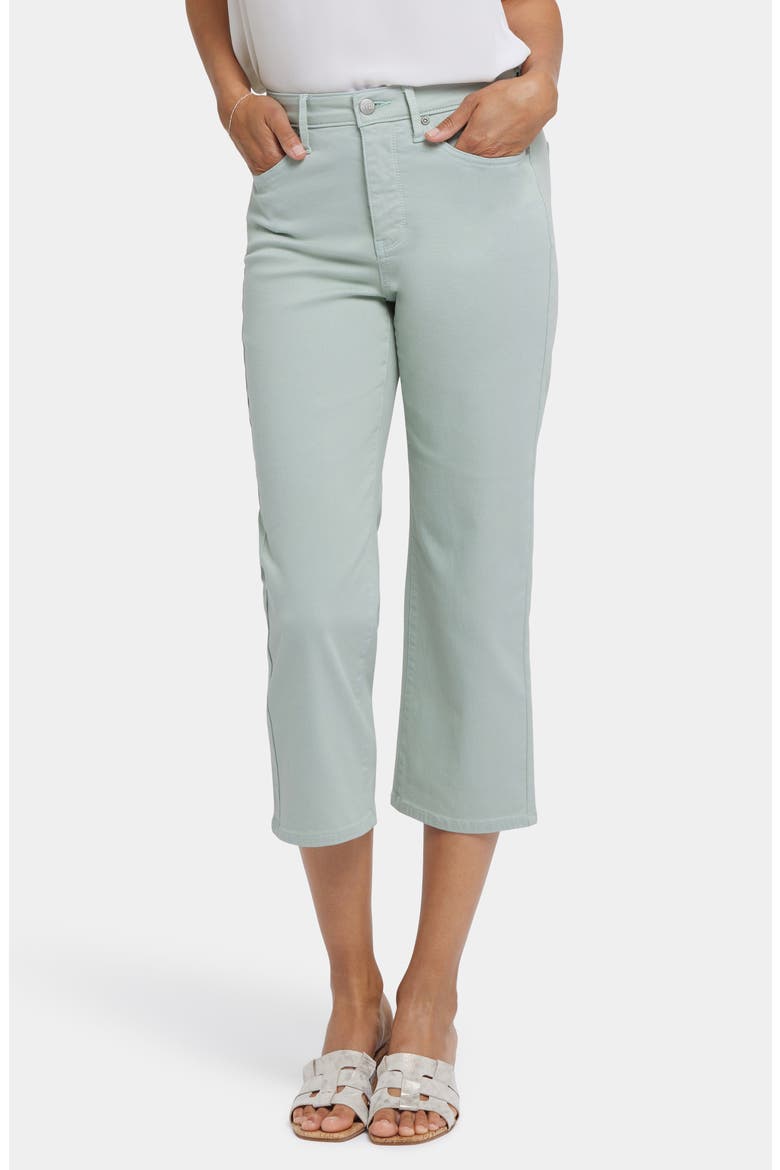 Joni High Waist Relaxed Capri Jeans, Main, color, TOMATILLO