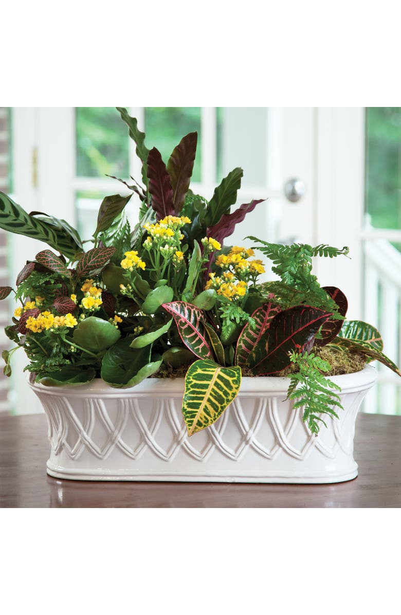 Napa Home & Garden Hillingdon Oblong Cachepot, Alternate, color, White