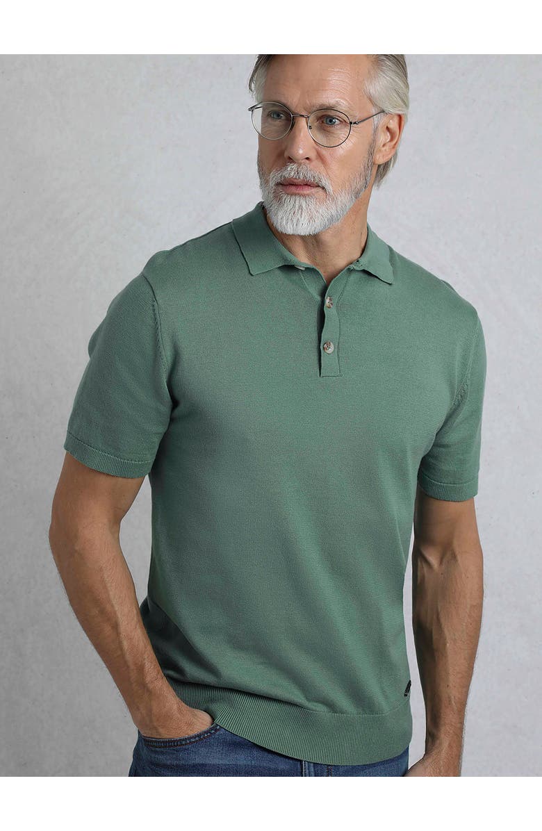 Weird Fish Quentin Short Sleeve Knitted Polo, Main, color, Ivy