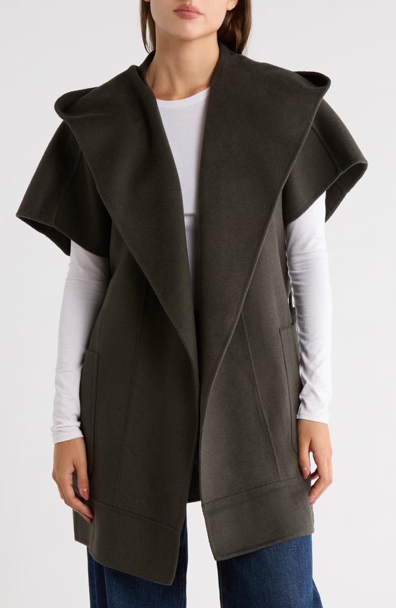 Splendid x Cella Jane Wool Blend Vest, Alternate, color, Faded Caviar