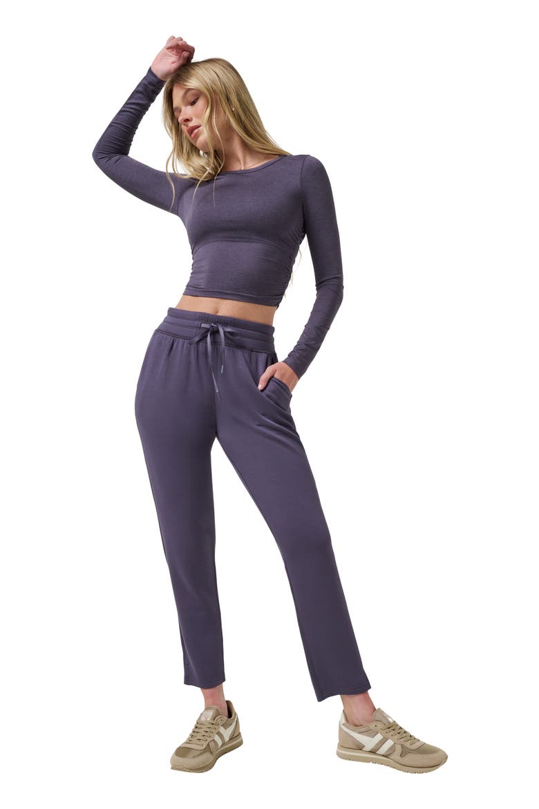 Skyloft Soft Ankle Pants, Alternate, color, GRAYSTONE