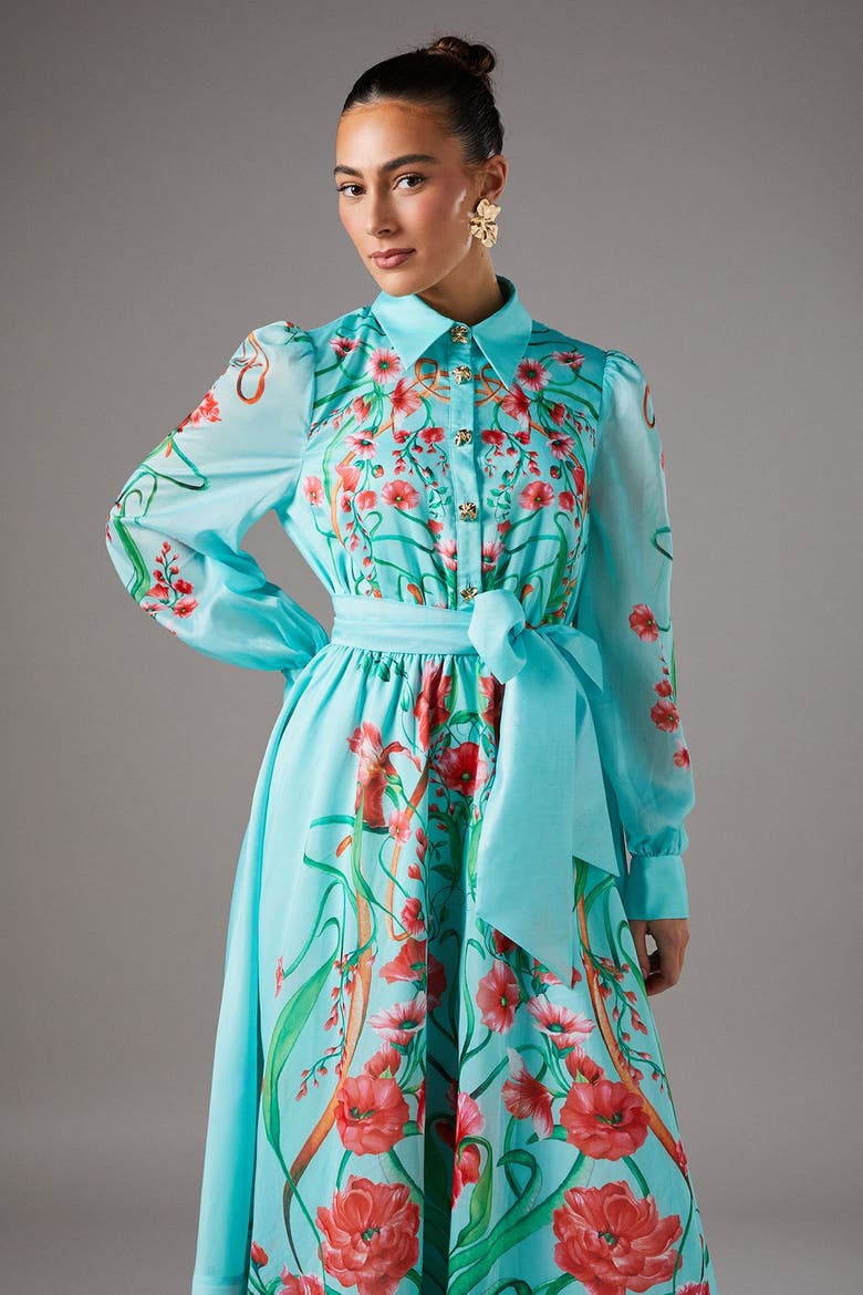 Border Print Organza Shirt Dress, Alternate, color, Mint