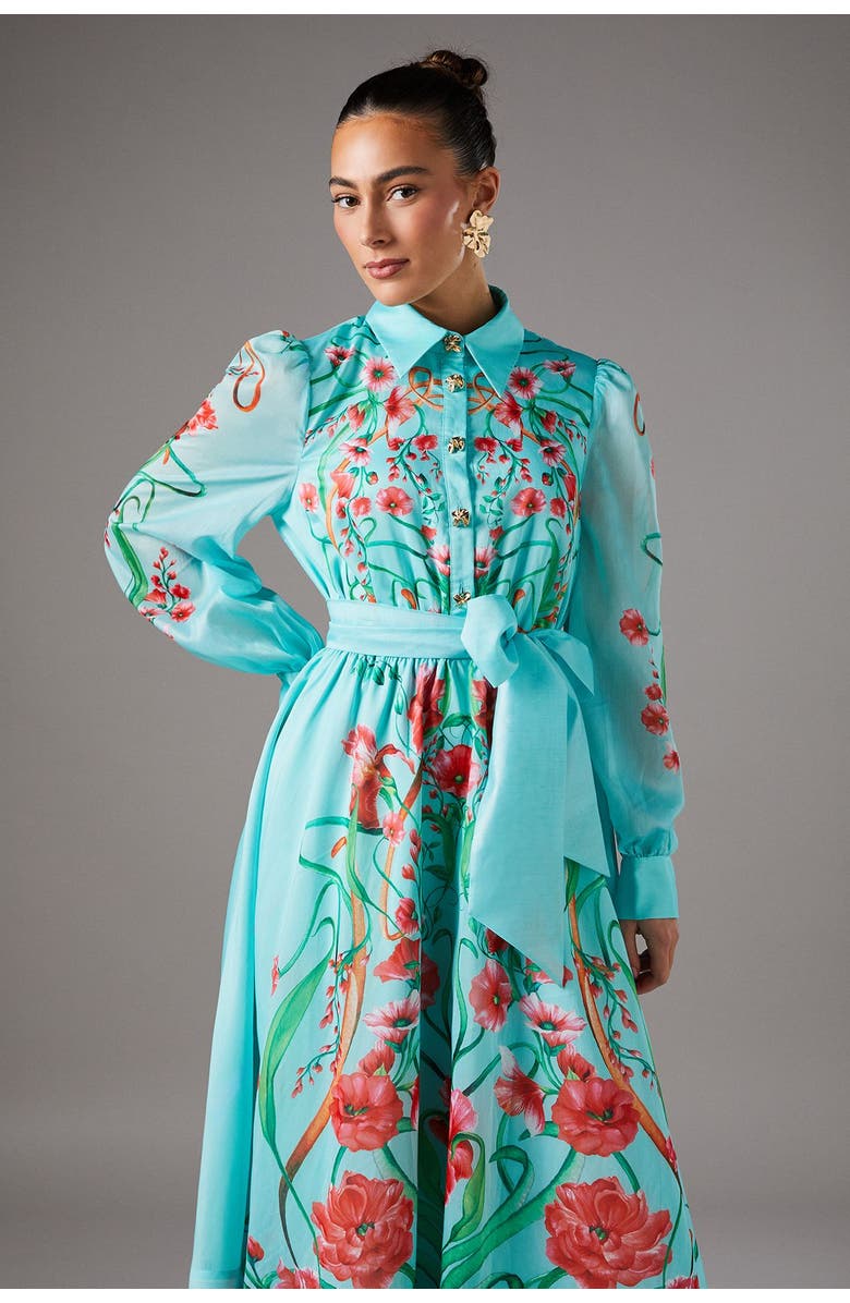 Coast Border Print Organza Shirt Dress, Alternate, color, Mint