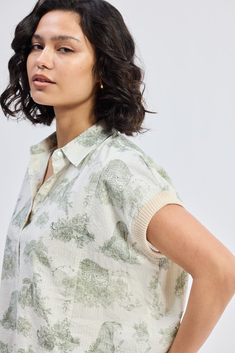 Relaxed-Fit Button-Down Shirt, Alternate, color, Light Green