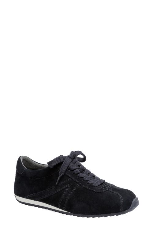 Linea Paolo Kova Sneaker In Black