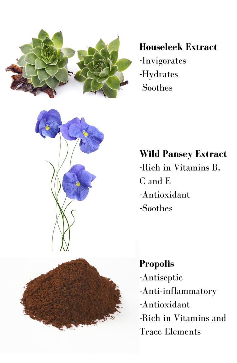 Leonor Greyl PARIS 'Gentle Anti-Dandruff Shampoo', Alternate, color,