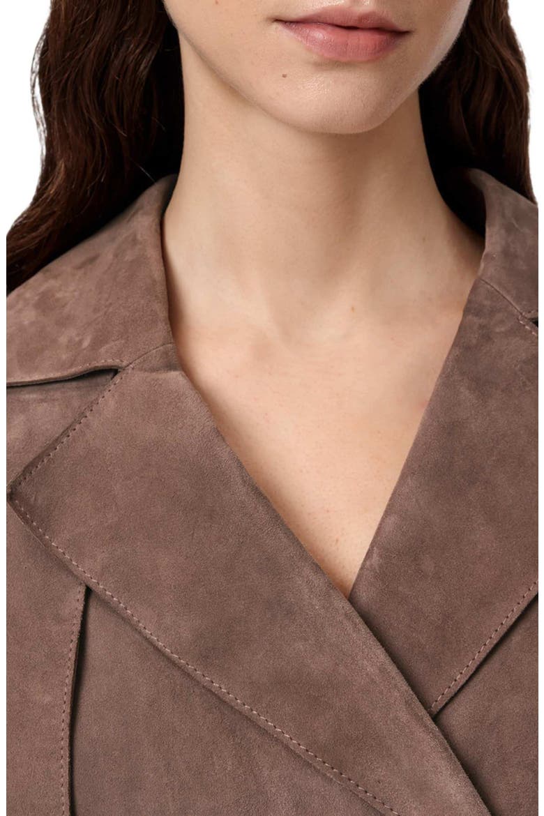 Ophelia Suede Jacket, Alternate, color, MOLE BROWN
