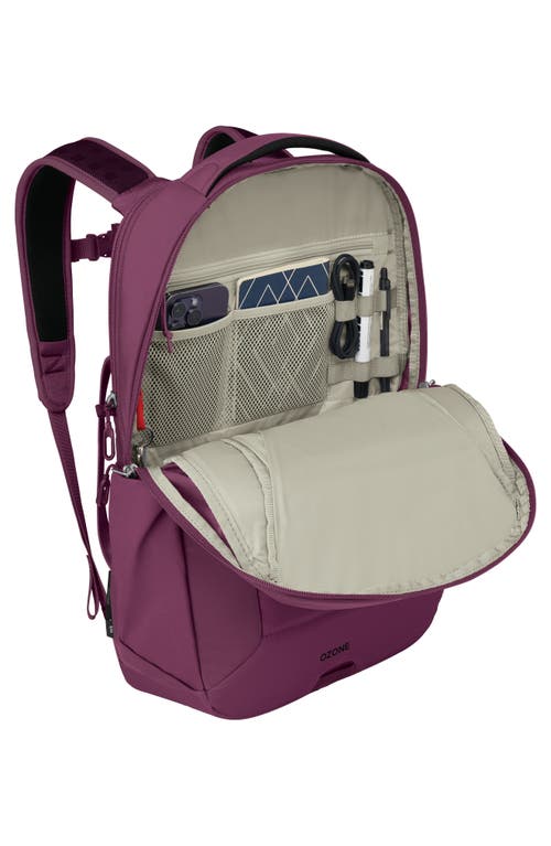 Osprey Ozone Laptop Travel Bag