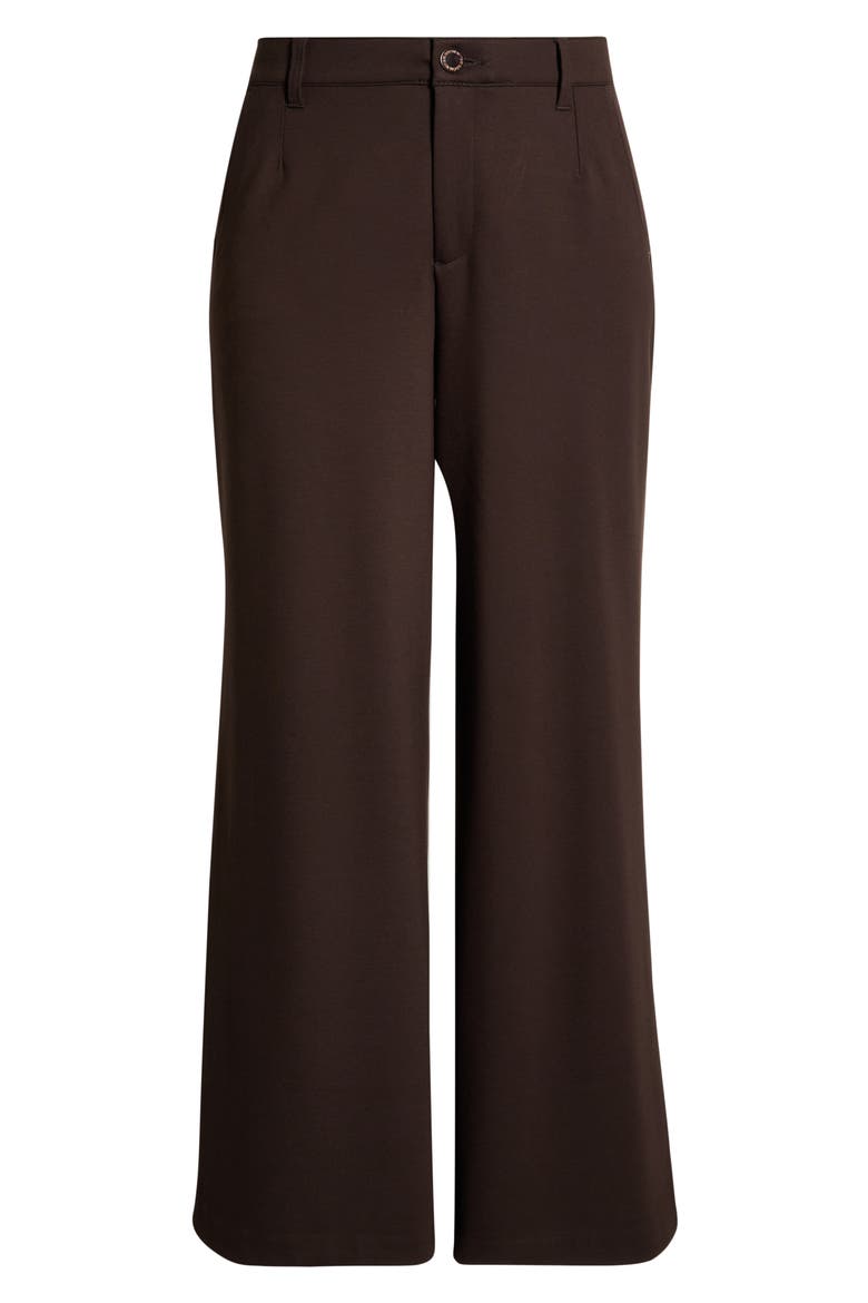 Skyrise Flat Front Wide Leg Pants, Alternate, color, BROWN