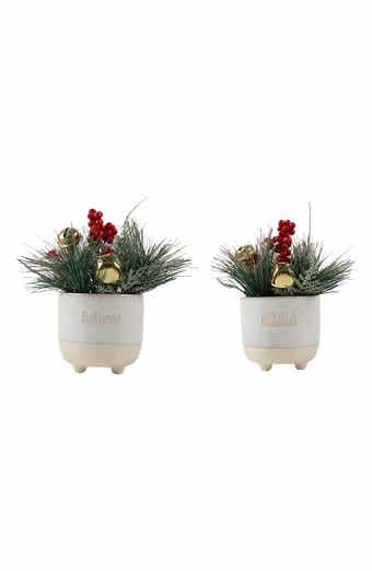 FLORA BUNDA Christmas Mix in Falala & Believe Planter - Set of 2