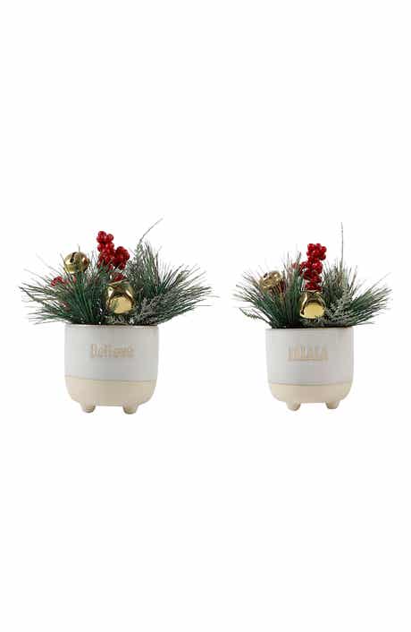FLORA BUNDA Christmas Mix in Falala & Believe Planter - Set of 2