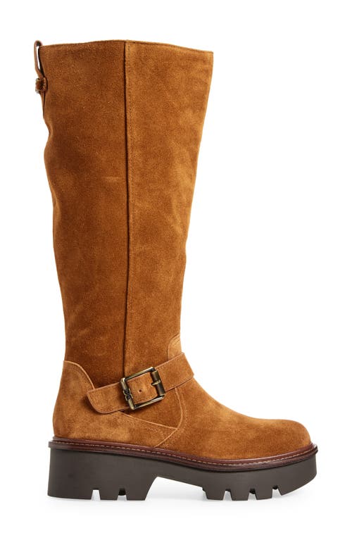 Sam Edelman Carter Knee High Boot In Brown