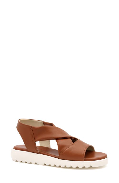 Amalfi By Rangoni Baletto Sandal In Mou Parmasoft