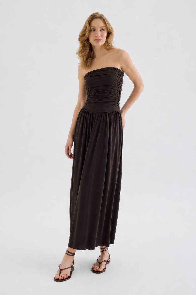Aluna Strapless Stretch Maxi Dress, Alternate, color, Brown