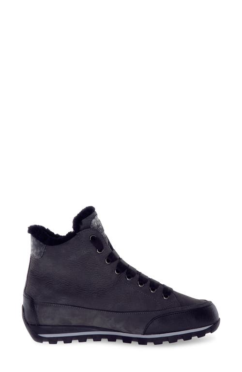 Candice Cooper Runlo Waterproof Genuine Shearling Lined High Top Sneaker In Multi