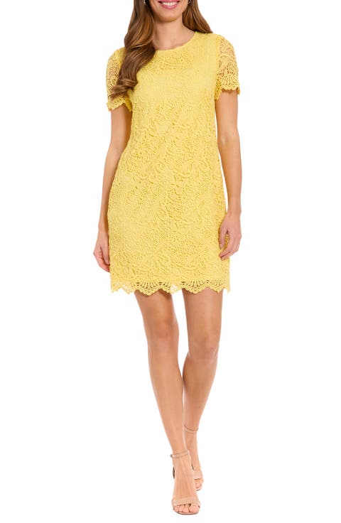 Scalloped Lace Shift Dress (Petite)