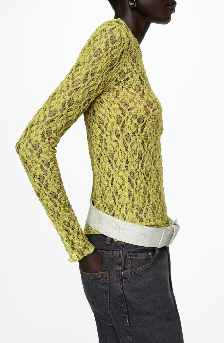 MANGO Sheer Lace Boat Neck Long Sleeve Top, Alternate, color, 