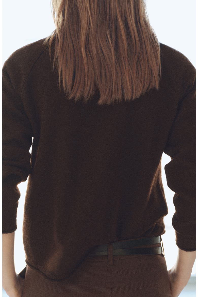 Crewneck Sweater, Alternate, color, BROWN