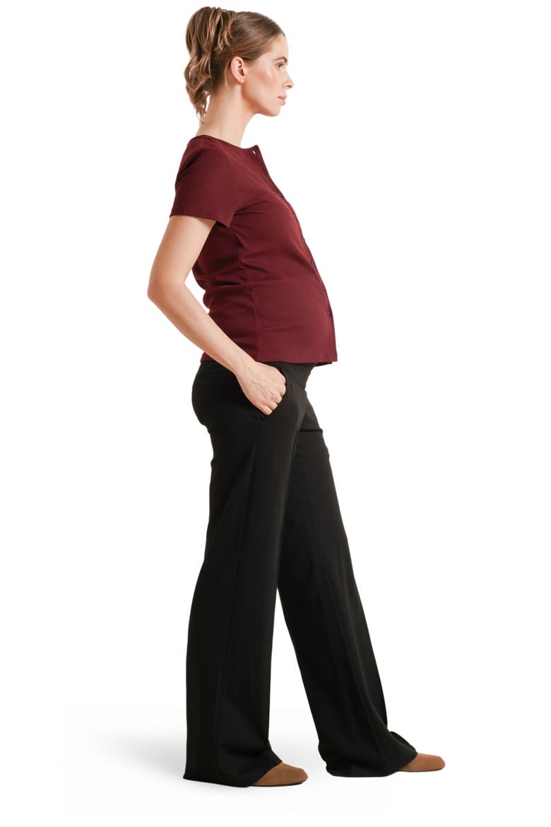 Avery Button-Front Maternity & Nursing Ribbed Tee, Alternate, color, Burgundy
