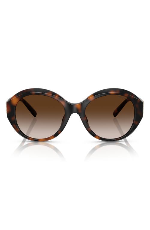 Tiffany & Co . 53mm Gradient Round Sunglasses In Havana