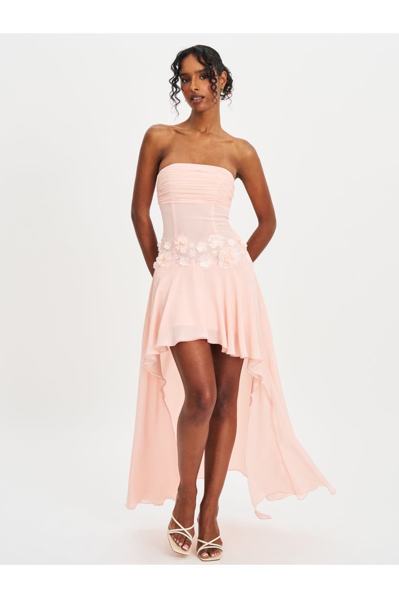 Mae Ruched Breast Appliqué Trim Trailing Dress, Alternate, color, Baby pink chiffon