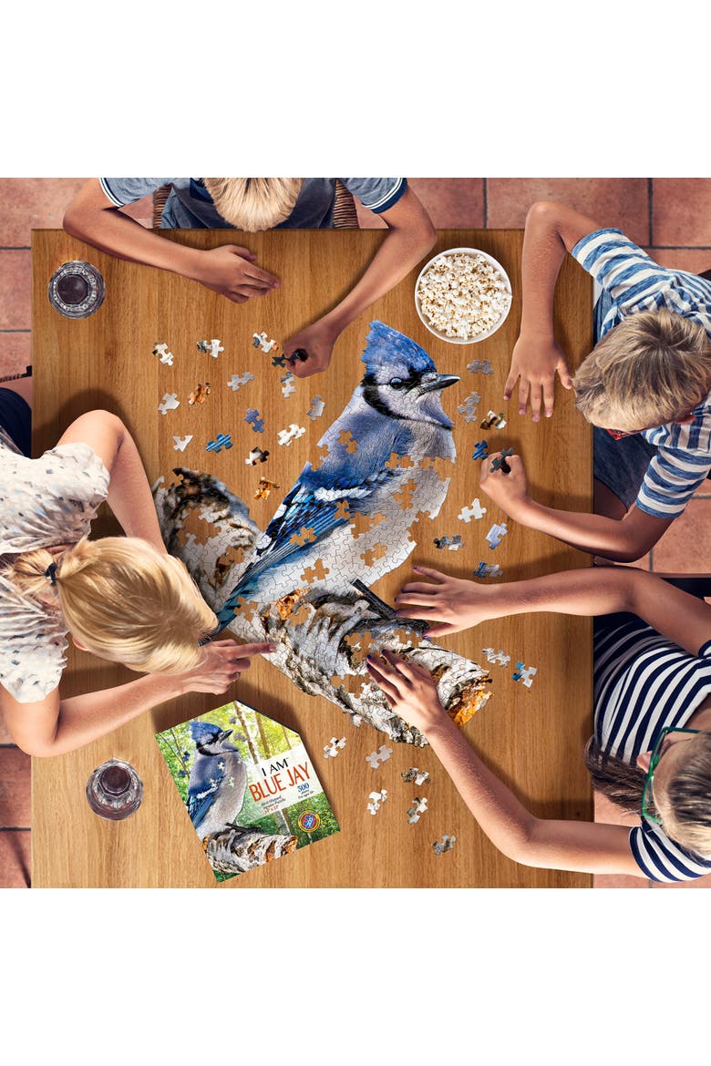 BLUE JAY 300 Piece Jigsaw Puzzle, Alternate, color, Multicolored