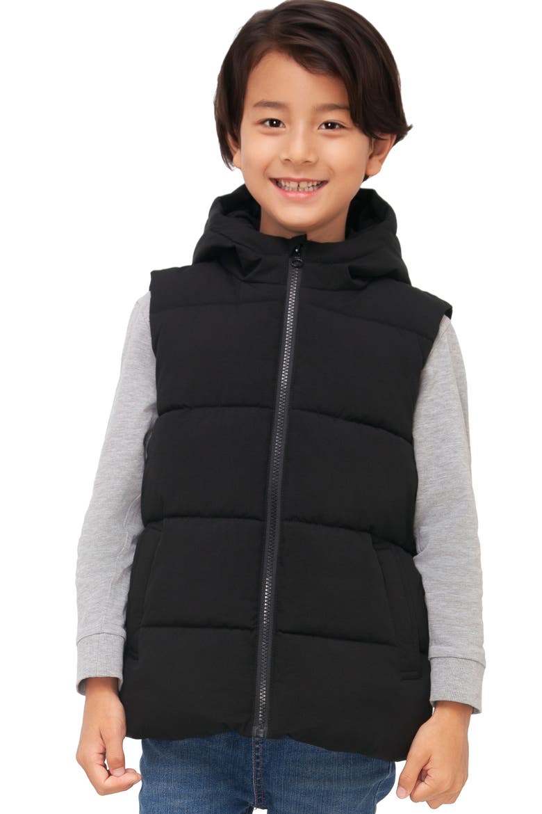 Kids' Everett Hooded Puffer Vest, Main, color, Black
