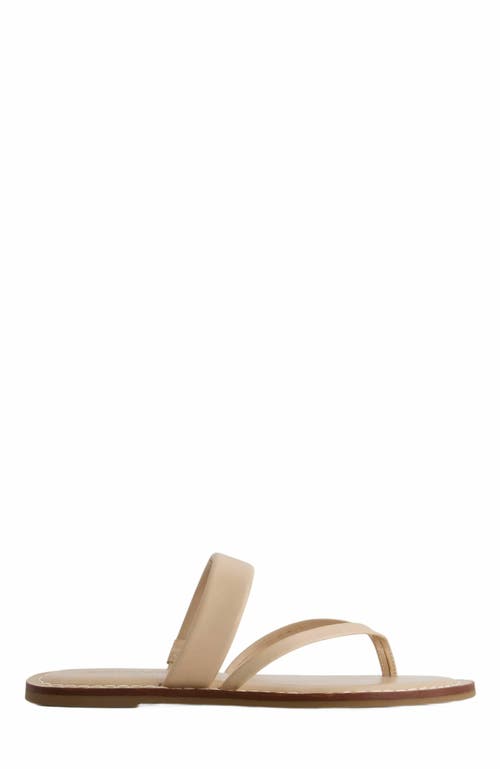 Bernardo Footwear Leia Thong Sandal In Pink