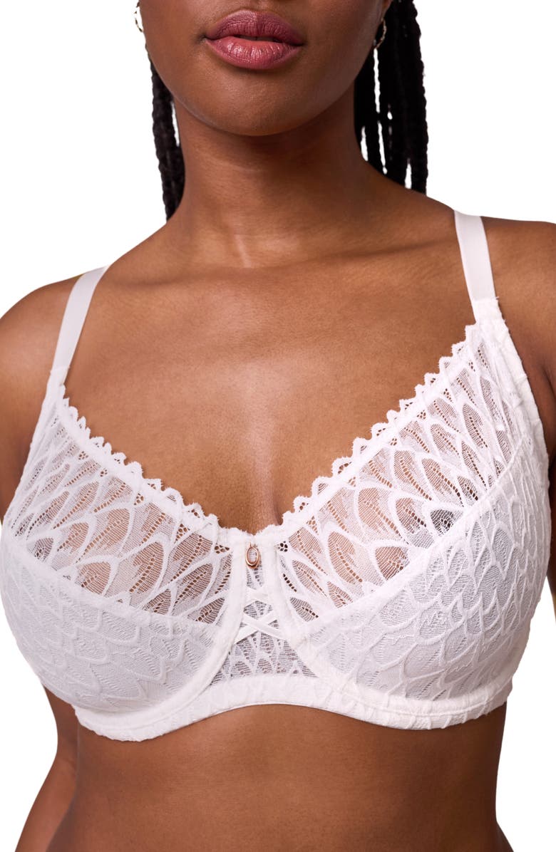 Montelle Intimates Muse Underwire Full Cup Lace Bra, Alternate, color,