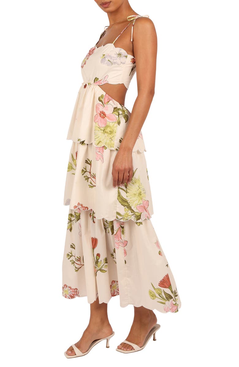 Petal & Pup Adelaide Scallop Cutout Tie Strap Maxi Dress, Alternate, color, Native Flora