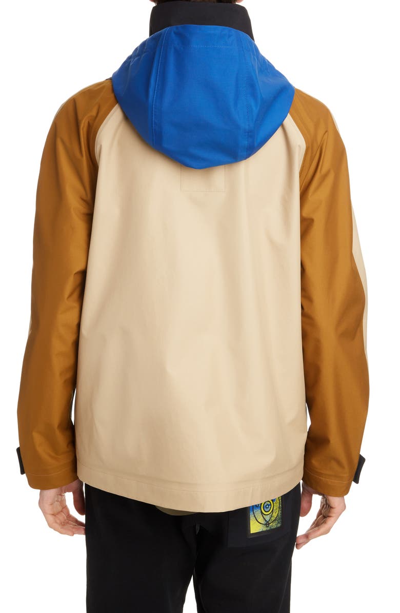 EYE/LOEWE/NATURE Colorblock Hooded Parka, Alternate, color, 