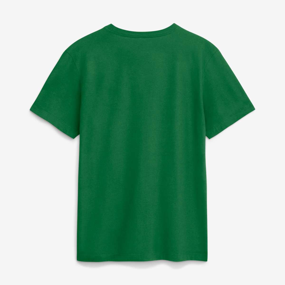 Nike Men's Nike Green Oregon Ducks 2026 Sideline Dri-FIT T-Shirt (Men ...