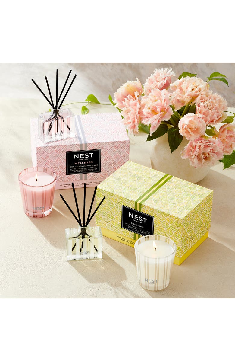 NEST New York Himalayan Sea Salt & Rosewater Petite Candle & Diffuser Set, Alternate, color, 
