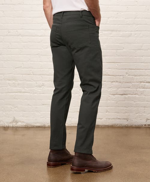 Pact Organic Cotton Stretch Twill 5-pocket Pant In Brown